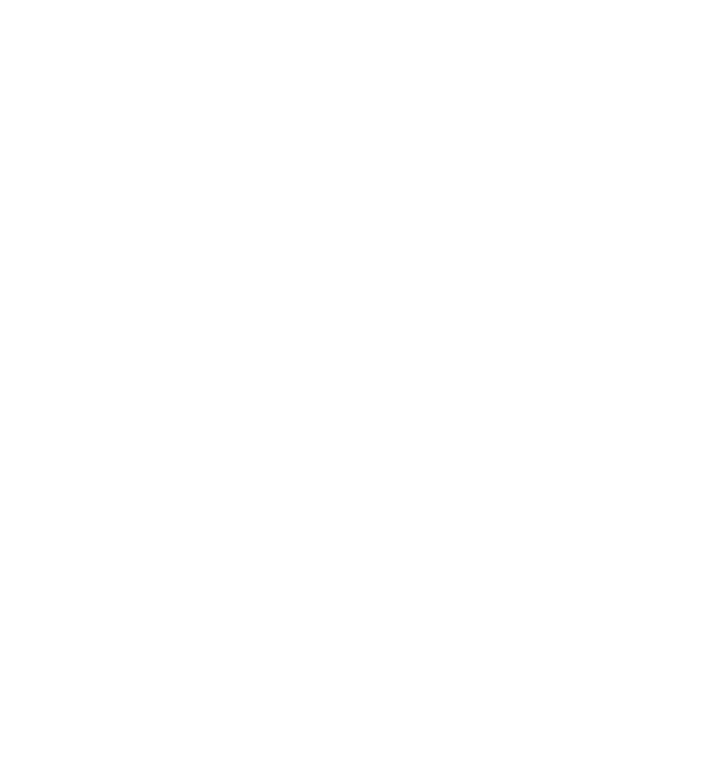 Torso